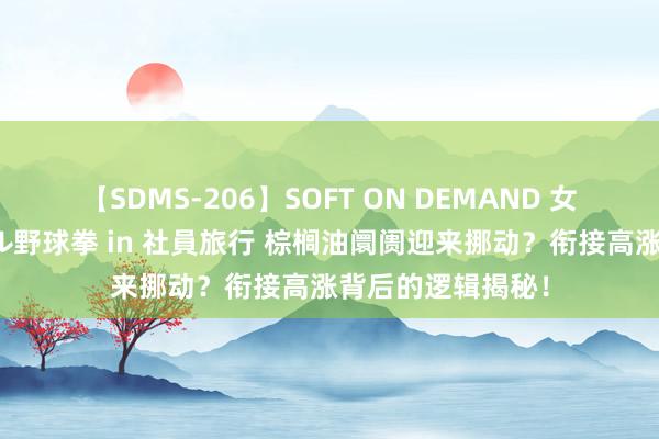 【SDMS-206】SOFT ON DEMAND 女子社員スペシャル野球拳 in 社員旅行 棕榈油阛阓迎来挪动？衔接高涨背后的逻辑揭秘！