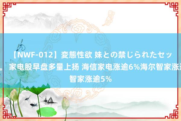 【NWF-012】変態性欲 妹との禁じられたセックス。 家电股早盘多量上扬 海信家电涨逾6%海尔智家涨逾5%