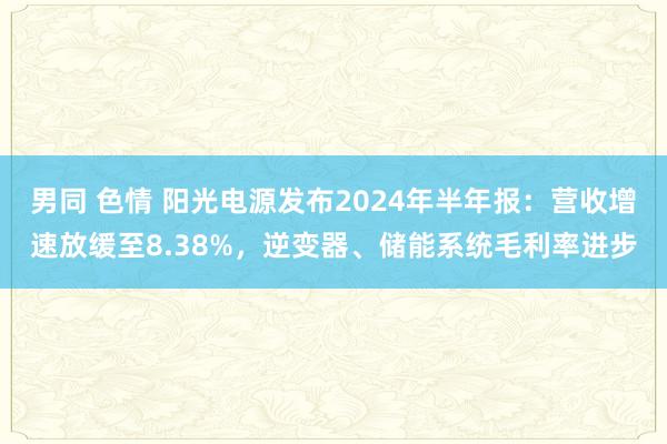 男同 色情 阳光电源发布2024年半年报：营收增速放缓至8.38%，逆变器、储能系统毛利率进步