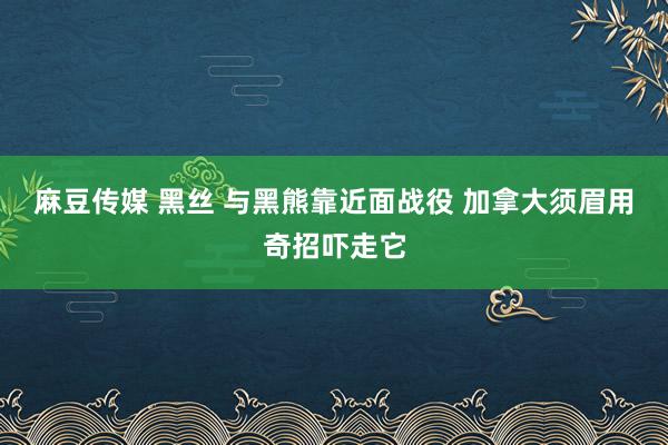 麻豆传媒 黑丝 与黑熊靠近面战役 加拿大须眉用奇招吓走它